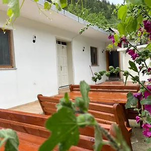 Thethi Mountain Gasthof